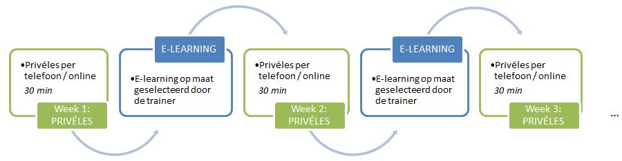 Blended Learning formule 3 Blended Learning formule 3